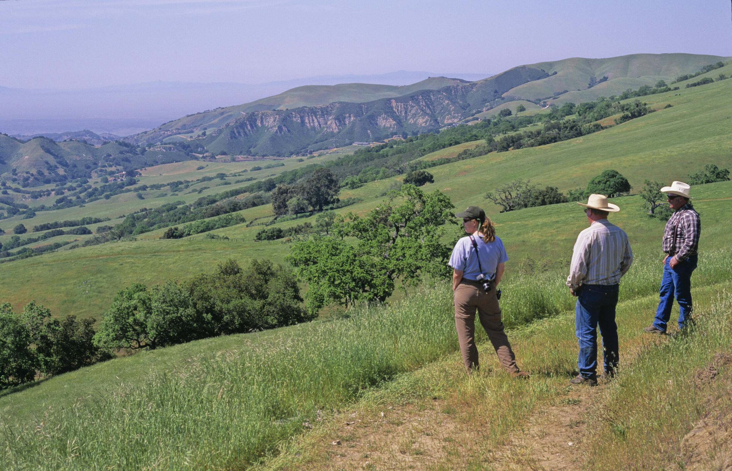 (INTERNAL RIGHTS TNC). Ranchers survey oak woodlands and the surrounding hill country at Dorrance Ranch, a working family ranch and conservation easement located in the foothills overlooking Salinas Valley in Monterey County, central California.  ©Felix Rigau          