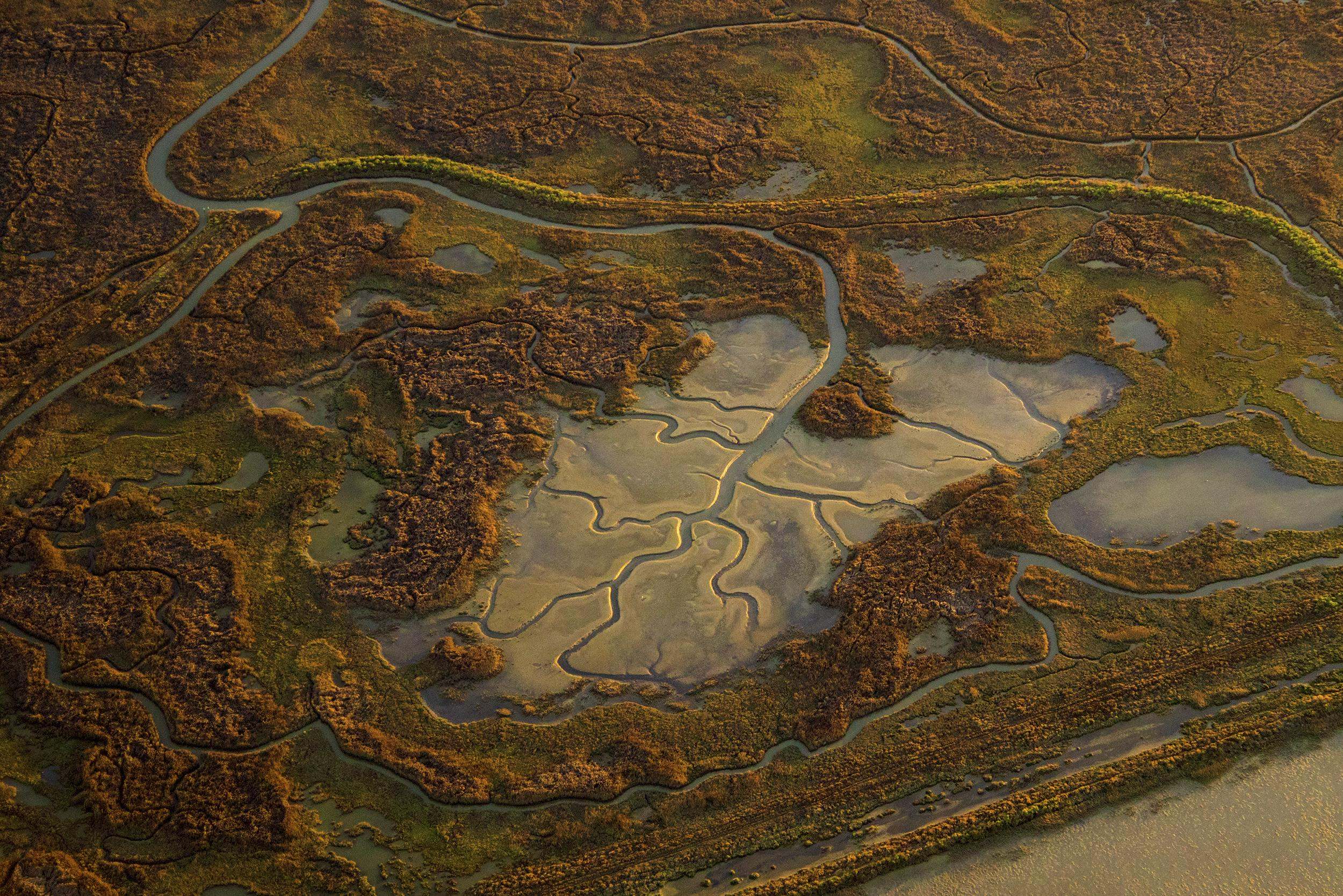 Aerial view of the carveouts of waterways in a wetland area.