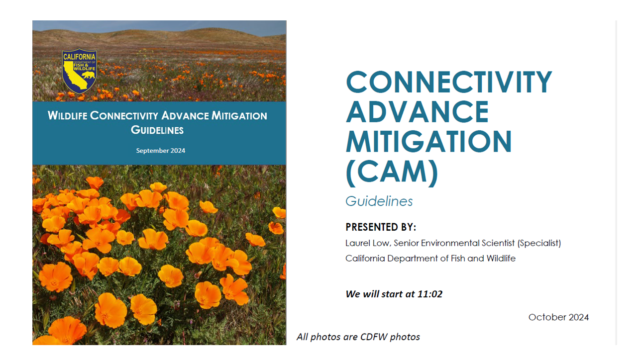 Presentation by CDFW outlining the benefits, guidelines and resources available to receive advance mitigation credits related to wildlife connectivity projects.