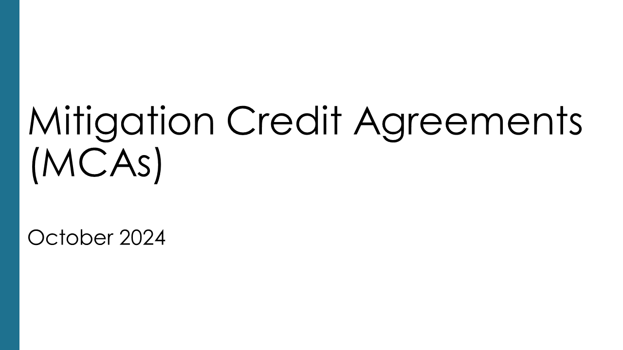 Overview of the MCA program including details around MCA program features, role of  acknowledging agencies and comparison of other funding options for mitigation.